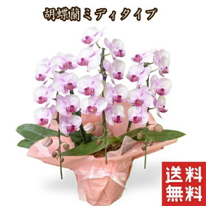  10000~ ~j Ӓ R`E ~fB Ӓ a j A  Mtg v[g ~jӒ   ` av[g    ސEj  җj 