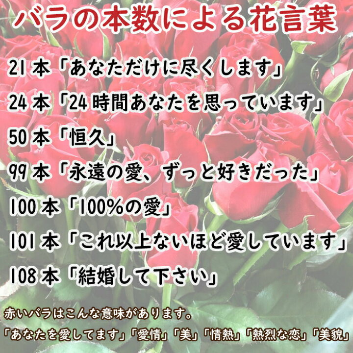 楽天市場 プロポーズ 花 赤いバラの花束 108本 プレゼント プレゼント 彼女 ギフト 薔薇 ばら 誕生日 年の数 結婚記念日 発表会 送料無料 ローズ 女性 母 嫁 妻 告白 結婚記念 いい夫婦の日 フラワーアルスメール lsmeer
