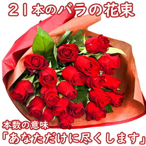 o ԑ 21{ ԃo KN v[g Mtg v|[Y  j LO a  bh sN IW vw̓  LO j 蕨 bZ[W o ԑ KN 2