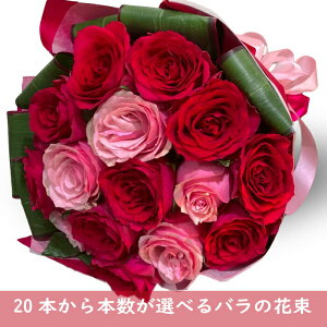 o ԑ ԃo KN u[P{w 20{ȏォ o  ԑ ԃo sNo ~bNXoȂ v|[Y bh sN j LO ԑ a LO 20{ 21{ 24{ 50{ 