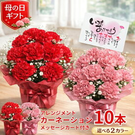 早割 指定 母の日 花 カーネーション 10本 アレンジメント 花束 カーネーションアレンジ プレゼント ギフト カーネーション 鉢 生花 鉢植え 送料無料 カーネーション お母さん 母 母の日ギフト ギフト 贈り物