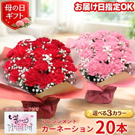 遅れてごめんね 母の日 カーネーション 20本アレンジメント カーネーションアレンジ プレゼント 花 ギフト カーネーション 生花 送料無料 カーネーション お母さん 母 母の日ギフト ギフト 贈り物 送料無料