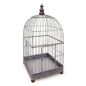 楽天市場 インコ 鳥かご おしゃれの通販 楽天市場 インコ 鳥かご おしゃれの通販