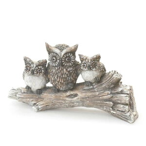 azi-azi ca-2038 tNE̐eqIuWF t[|bg K[fjOG  K[f O