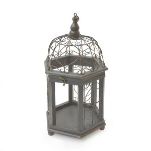 azi-azi az-3008 NVbNo[hP[Wv^[  X^h K[fjO o[hP[W Eh uE1 JS Ƃ肩  CeA ݂艺 ݂ AeB[N 