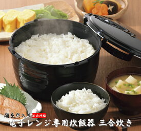 楽天市場 電子レンジ専用炊飯器の通販