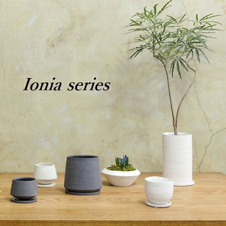 楽天市場 植木鉢 おしゃれ 陶器鉢 イオニアシリーズ 白 黒 3号 4号 5号 プランター 室内 浅い 浅め 和風 可愛い 皿付き 小さい 浅鉢 平鉢 模様 ポット 茶わん シリンダー 穴あり 軽い 鉢 円筒 円柱 植え替え 鉢植え 園芸 観葉植物