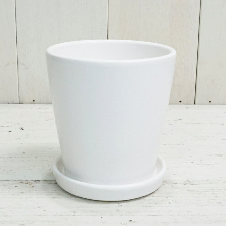 楽天市場 植木鉢 おしゃれ 陶器鉢 オストラウンドm 13cm 白 マット ツヤなし ホワイト 受け皿付 プランター 3号 4号 小さい 普通鉢 標準鉢 鉢 小さめ 小型 ミニ ガーデニング 室内 植え替え 鉢植え 園芸 観葉植物 多肉植物 塊根植物 サボテン つる性 シダ 人気