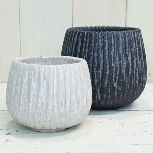 Aؔ  Zg IxXNAtS (2F) 13cm 4  zCg ubN O[   _ RN[g v^[ ۂ  K[fjO  Aւ A | 