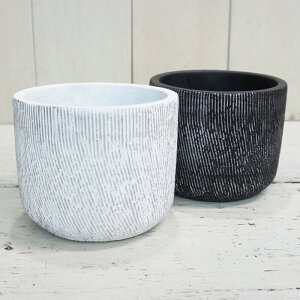 Aؔ  Zg VS (2F)  10.5cm 3.5     zCg ubN Vo[ RN[g   ~ ~  ͗l  o[ Vv v^[  K[fjO