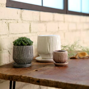 Aؔ  픫 ~I2L (5F) 13cm 4 ꌊ 󂯎Mt zCg O[ p[v uE CG[ x[W ^  v^[  K[fjO  Aւ A 