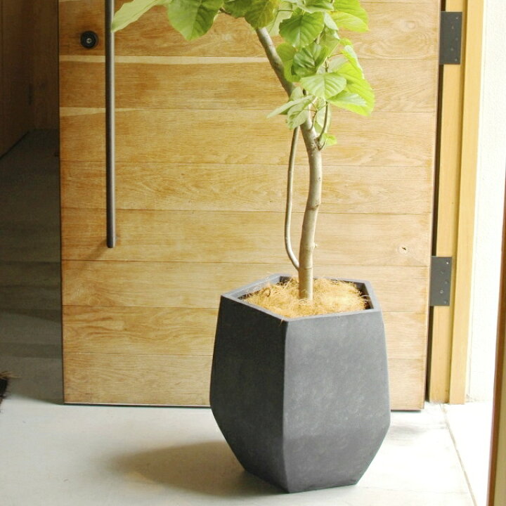 楽天市場】植木鉢 おしゃれ 大型 ペンタゴン (2サイズ)＜ 41cm 13号 