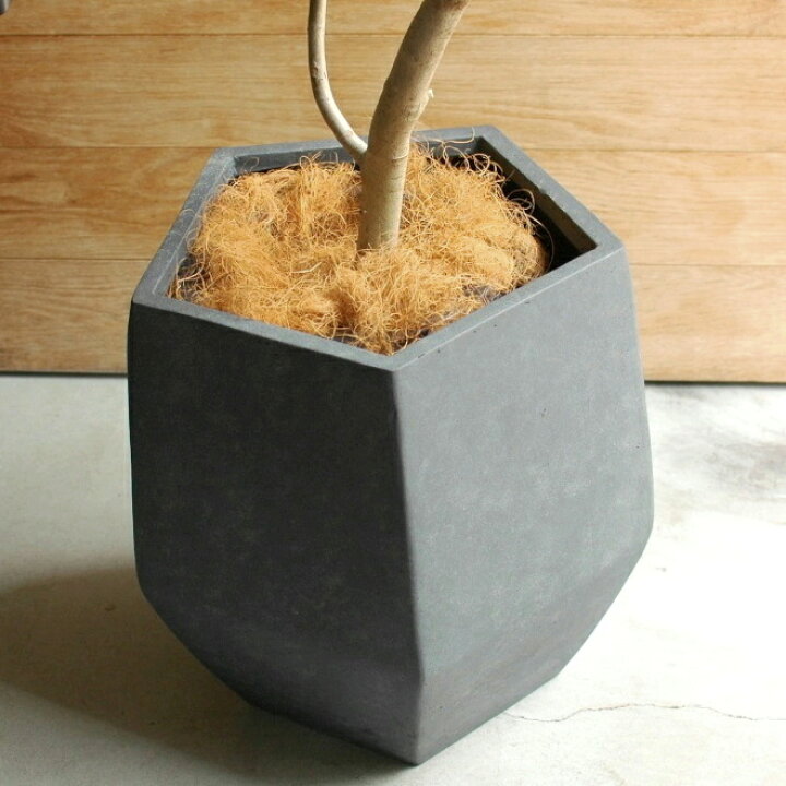 楽天市場 植木鉢 おしゃれ 大型 プラスチック ペンタゴン L 52cm 17号 底穴あり ファイバークレイ 軽い 軽量 丈夫 五角形 多面体 黒 グレー プランター 鉢 特大 大きめ ガーデニング 室内 植え替え 鉢植え 園芸 観葉植物 多肉植物 塊根植物 サボテン Diy 人気