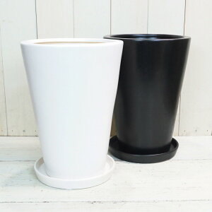 Aؔ  픫 MP12 (2F) 26cm 8.5 ꌊ 󂯎Mt cȂ   zCg ubN ~^ Vv _ w̍ [ [  c  v^[  K[fjO 