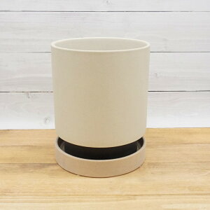 Aؔ  픫 phbN (3F) 6 7 18cm 21.5cm  󂯎M cȂ zCg ubN bh x[W O[ v^[  킢  [ c Jo[ K[fj