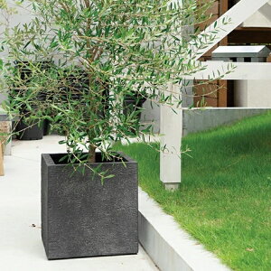 v^[  y KfL[u(2F) 40cm 50cm 60cm 13 17 20 |Xg[Cg vX`bN y ꌊ ubN AC{[ x[W O[ Aؔ  lp K[fj