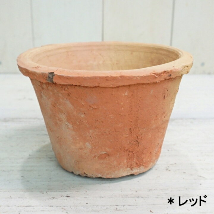 楽天市場】植木鉢 おしゃれ モスポット 素焼き ジャンクポット浅 (2色 