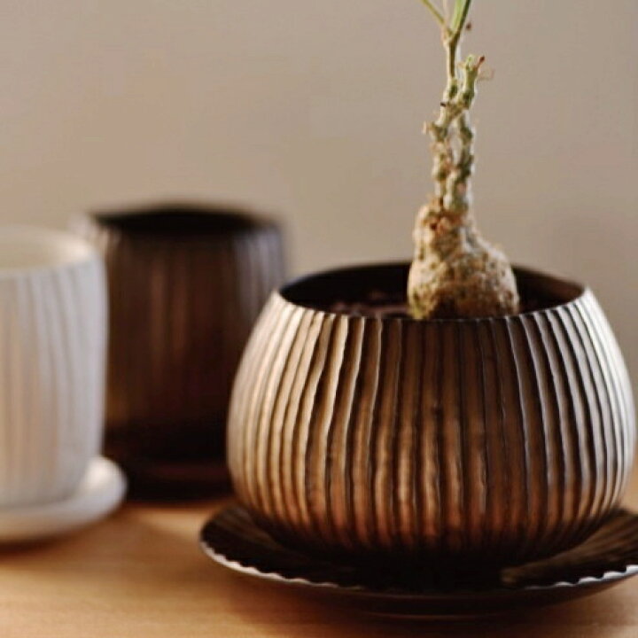 楽天市場】植木鉢 おしゃれ 陶器鉢 ラピスボウル(2色)＜ 10.5cm 3.5号  