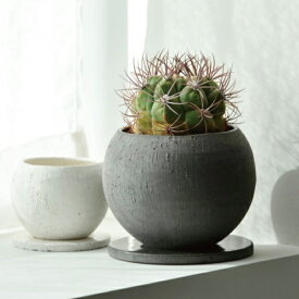 鉢 おしゃれ 植木鉢 陶器鉢 イオニアボウル(2色)＜ 3号 4号 10cm 14cm 穴あり 受け皿付 ホワイト ブラック グレー 陶器 和風 プランター 丸い 丸型 円形 かわいい 浅鉢 ガーデニング 室内 屋外 寄せ植え 植え替え 鉢植え 小型 観葉植物 多肉植物 塊根植物 サボテン 花＞
