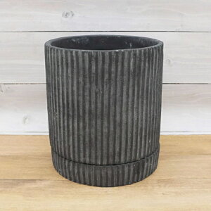 Aؔ Zg  Jg(2F) 5 6 7 14.5cm 17.5cm 20.5cm  󂯎Mt zCg ubN O[ AeB[N v^[ 킢  Jo[ RN[g K[fjO 