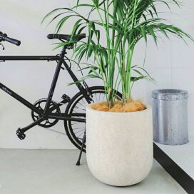 楽天市場】 素材から探す > セメント・コンクリート : 植木鉢 
