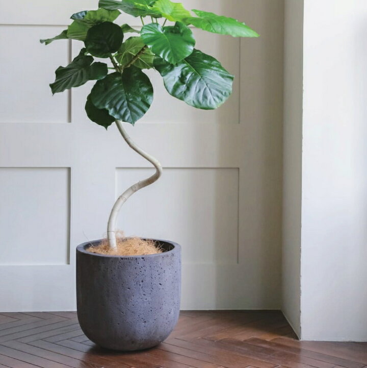 楽天市場】植木鉢 おしゃれ 大型 ロッカーUポットS (2色)＜ 33cm 11号