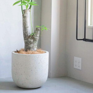 Aؔ  ^ bJ[U|bgM (2F) 40cm 13 t@Co[ Zg   O[  RN[g y v^[ 킢  傫 K[fjO  O Aւ A