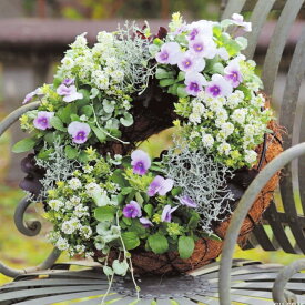 リース おしゃれ ハンギング リング バスケット コンテナリースS (2色)＜ 外径29cm ホワイト ブラック アイアン ブラウン ココファイバー メッシュ プランター S字フック付 ワイヤー 壁掛け 寄せ植え 土台 玄関 かわいい 植木鉢 鉢 円形 室内 屋外 観葉植物 多肉植物 花 ＞