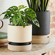 植木鉢 おしゃれ 陶器鉢 パラドック (3色) 6号 7号 18cm 21.5cm 穴あり 受け皿あり ツヤなし ホワイト ブ…