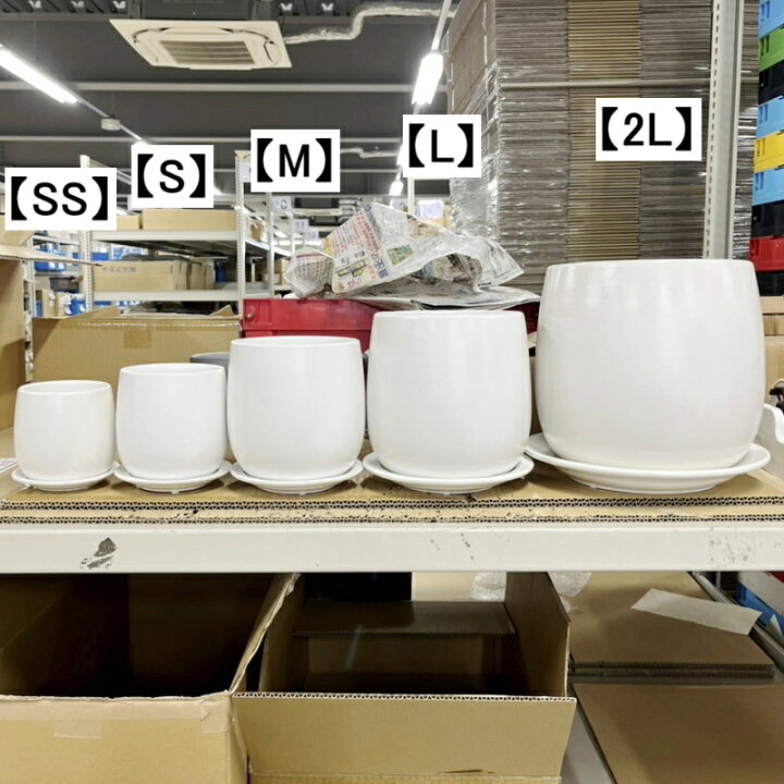 楽天市場】植木鉢 おしゃれ 陶器鉢 オストボール (5サイズ)＜ 3号 4号 