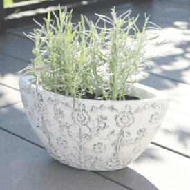 植木鉢 おしゃれ アンティーク 陶器鉢 ダイナスティオーバルポット(2サイズ)＜ 長辺外寸18cm 29cm 楕円 穴あり 白 ホワイト 陶器鉢 プランター 植物柄 模様 絵 柄 シャビー かわいい 鉢 フレンチ 室内 屋外 鉢植え 園芸 観葉植物 多肉植物 塊根植物 サボテン 花 ＞