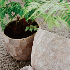   Zg AV 4 6 8 9 12cm 20cm 24cm 28cm O[ DF  Aؔ RN[g AeB[N ʑ 킢 v^[   ی^ Jo[ K[fjO 