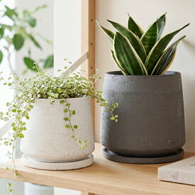 植木鉢 おしゃれ 陶器鉢 イオニアアンフレ(2色)＜ 4号 5号 5.5号 12.5cm 15cm 17cm 穴あり 受け皿付 ホワイト ブラック グレー 和風 プランター かわいい 鉢 鉢カバー ガーデニング 室内 屋外 寄せ植え 植え替え 鉢植え 園芸 観葉植物 多肉植物 塊根植物 サボテン 花 ＞