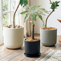 楽天市場】ブラック（サイズ（植木鉢）13号 ～）（植木鉢｜植木鉢 