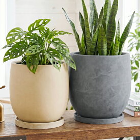 植木鉢 おしゃれ 陶器鉢 エッグポット (2サイズ/3色)＜ 7号 (最大外径22.5cm) 9号 (最大外径27cm) 穴あり 受け皿付き イエロー ベージュ グレー ブルー プランター 鉢 アンティーク かわいい 鉢カバー 室内 屋外 植え替え 鉢植え 観葉植物 多肉植物 塊根植物 サボテン ＞
