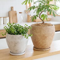 植木鉢 おしゃれ 陶器鉢 レイブン(2色)＜ 5号 7号 17.5cm 23cm 穴あり 受け皿付き ブラウン グレー カー…