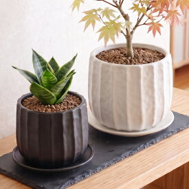 植木鉢 おしゃれ 陶器鉢 リベロ(3色)＜ 3.5号 4号 4.5号 11cm 12.5cm 14.5cm 穴あり 受け皿あり ブラック グレー ホワイト ゴールド プランター 鉢 釉薬 陶器 浅鉢 鉢カバー 寄せ植え ガーデニング 室内 屋外 植え替え 鉢植え 園芸 観葉植物 多肉植物 塊根植物 サボテン 花＞