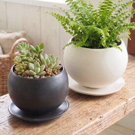植木鉢 おしゃれ 陶器鉢 マリナ(2色)＜ 3号 4号 4.5号 8.5cm 12.5cm 14cm 底穴あり 受け皿付 ツヤなし 白 黒 ホワイト ブラック アイボリー 浅鉢 かわいい プランター 鉢 ガーデニング 室内 屋外 寄せ植え 植え替え 鉢植え 園芸 観葉植物 多肉植物 塊根植物 サボテン 花 ＞
