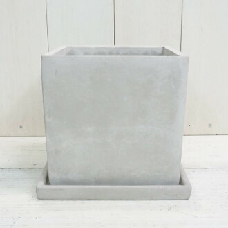 楽天市場 植木鉢 おしゃれ セメント コンクリキューブ L 17cm 6号 底穴あり 受け皿付 コンクリート 白 グレー 四角 スクエア 正方形 立方体 プランター 大きめ 鉢 ガーデニング 室内 植え替え 鉢植え 園芸 観葉植物 多肉植物 塊根植物 サボテン つる性 シダ 人気 人工