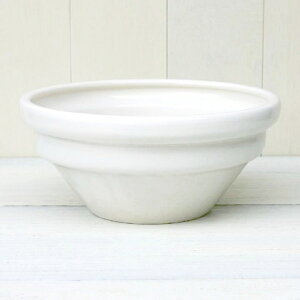 観葉植物 蓮 プランターの人気商品 通販 価格比較 価格 Com