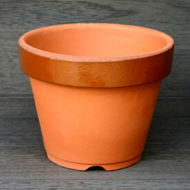 楽天市場 植木鉢 8cm 素焼きの通販