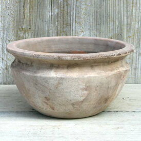 楽天市場 おしゃれ 鉢 多肉植物 花 ガーデン Diy の通販