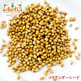 コリアンダーシード グリーン インド産 5kg(500g×10袋)Coriander Seed Green コエンドロ 原型 種 ホール スパイス ハーブ 香辛料 調味料