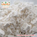ココナッツミルクパウダー 100g Coconut Milk Powder 粉末 【10%OFF】