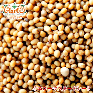 CG[}X^[hV[h ChY 5kgYellow Mustard Seeds ^  炵 XpCX n[u h 