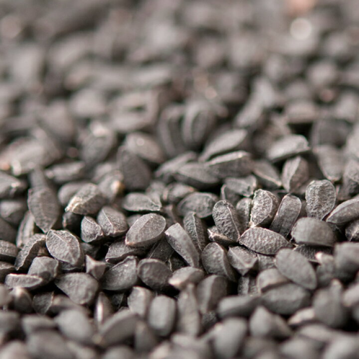 楽天市場 カロンジ 1kg 1000gkalaunji 原型 種 ニゲラ スパイス ハーブ ブラッククミンシード 香辛料 調味料 インドカレーの店 アールティ