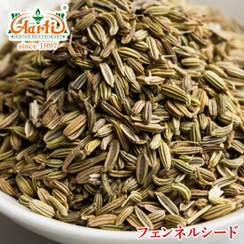 【10%OFF】フェンネルシード 500gFennel Seed ウイキョウ 原型 スパイス ハーブ 香辛料 調味料