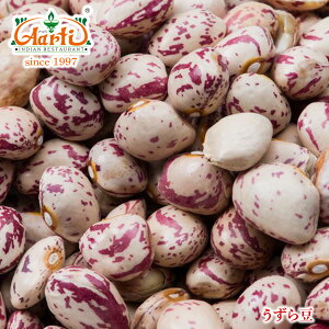瓤 5kgPint Bean W} `bgJu Rajma Chitkabra 