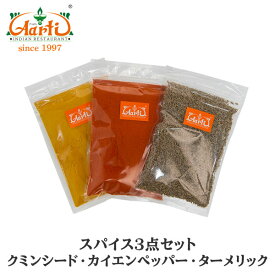 【10%OFF】スパイス3点セット 100g 各1袋 ゆうパケット送料無料 ターメリックパウダー クミンシード カイエンペッパーパウダー お試し 業務用 インド料理 エスニック料理 インドカレー スパイス 香辛料