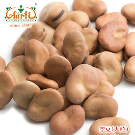 ファバビーンズ 大粒 20kg(1kg×20袋)Fava Beans Broad Bean 空豆 ソラマメ 乾燥豆